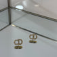 Jewelry / Earring